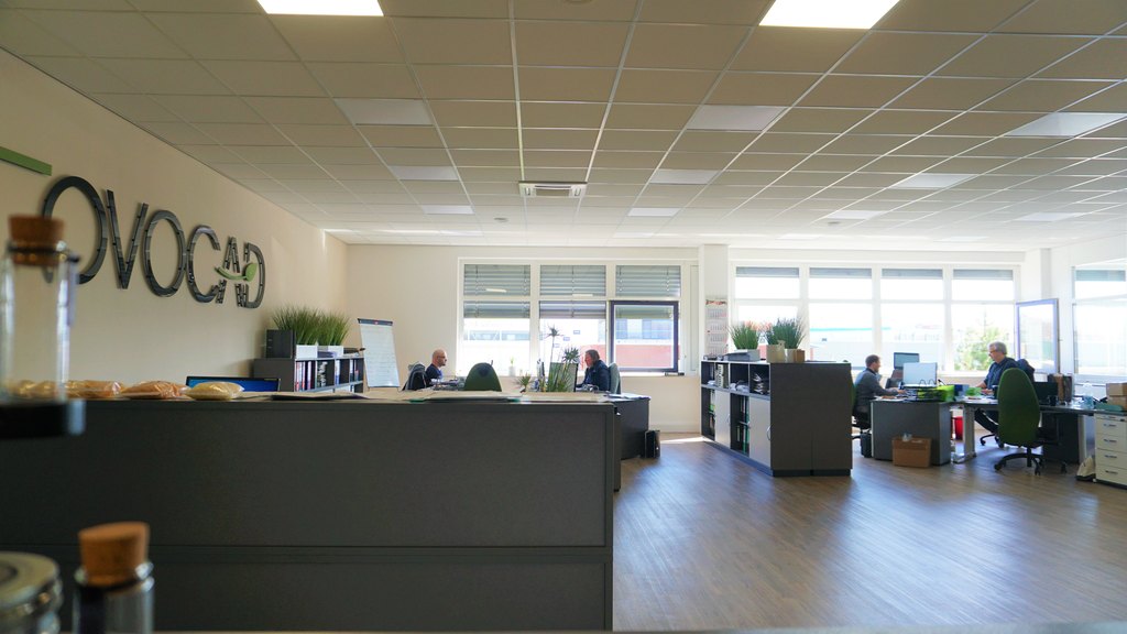 Rovocad-Büro